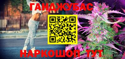 эйфоретик Камышлов