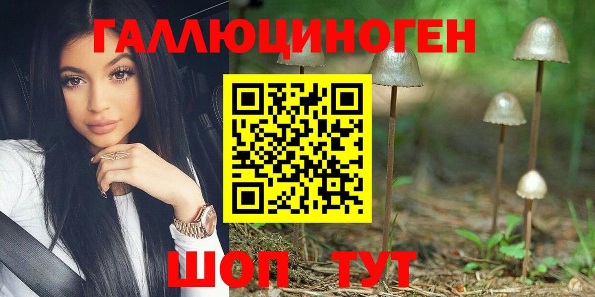 Псилоцибиновые грибы прущие грибы Красноярск